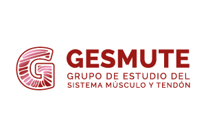 gesmute logo1 gesmute
