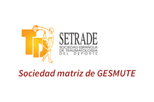 gesmute-logo2-setrade